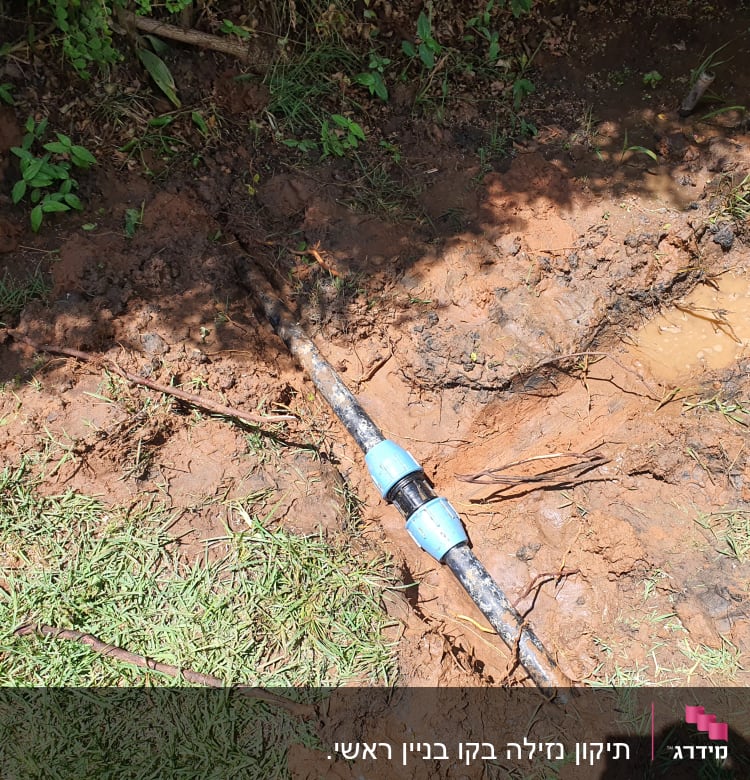 צינור מים עם מחבר כחול באדמה רטובה